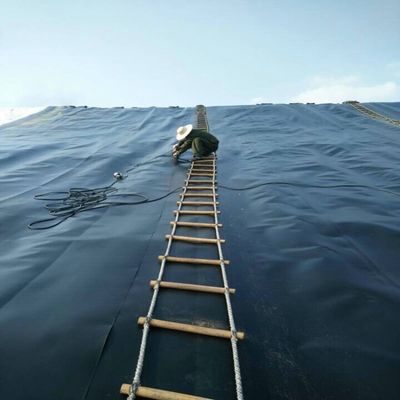 ASTM GRI-GM13 Standaard 1 mm HDPE-geomembraan voor toepassingen op visvijvers en stortplaatsen