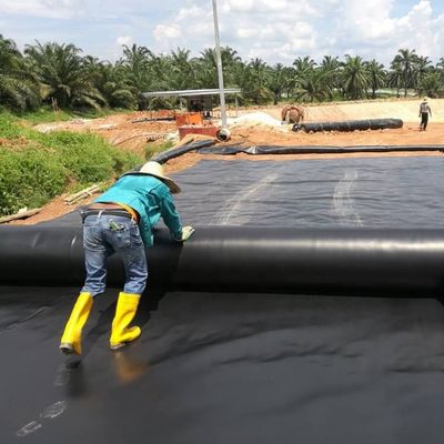 Dubbele gladde oppervlakte 0,5 mm HDPE zwarte geomembrane-liner voor vis- garnalenhouderij