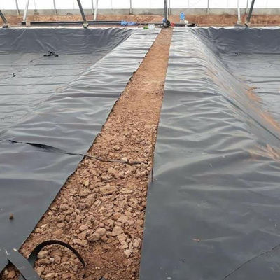 Waterdicht HDPE-geomembraan voor 1 mm-2 mm dikte
