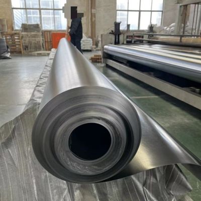 2 mm HDPE visvijver voor stortplaatsen Lange 50-200m Breedte 1-6m glad oppervlak