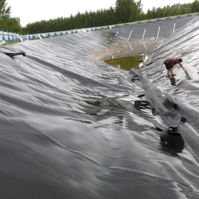 Custom Black 1mm HDPE Geomembrane Waterdicht Pond Liner voor Aquafarm 50m-100m Lengte