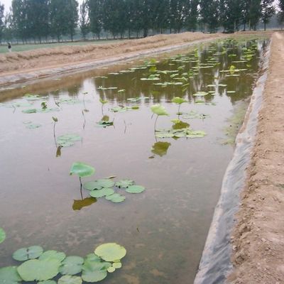 Glanzige geomembraan HDPE 0,5 mm 1 mm voor wateropslagtanks Projectoplossingscapaciteit