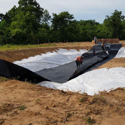 EPDM EVA HDPE plasticscherm voor vijver voor vissen garnalen zwembad verbouwing vijverdam
