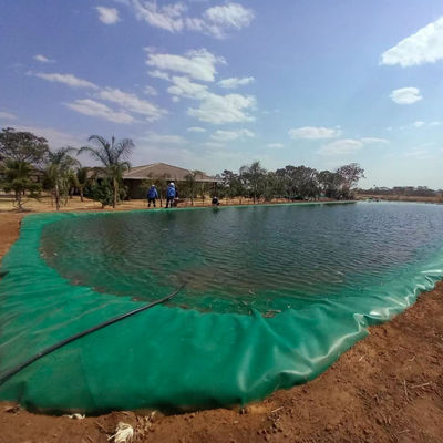 ASTM GRI-GM13 Standaard 1mm 2mm HDPE Geomembrane Fish Pond Liner voor vishouderij