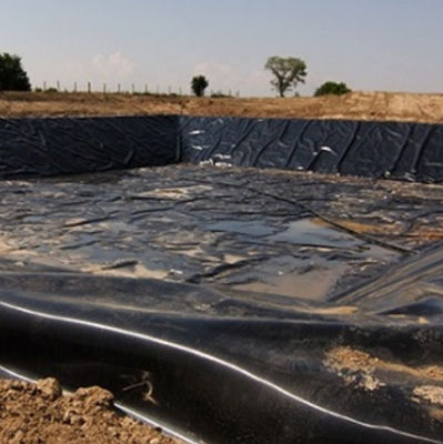 ASTM GRI-GM13 Standaard 1mm 2mm HDPE Geomembrane Fish Pond Liner voor vishouderij