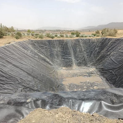Waterdicht HDPE-geomembraan visvijverpoel-liner resistent membraan voor zwembadoppervlak
