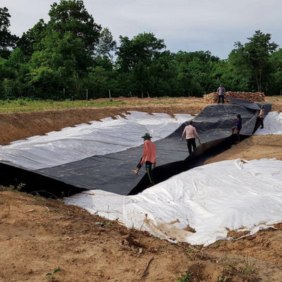 Dubbele textuur HDPE geomembraan 1 mm voor waterdichte Plastic Dam Liner Fish Pond Liner
