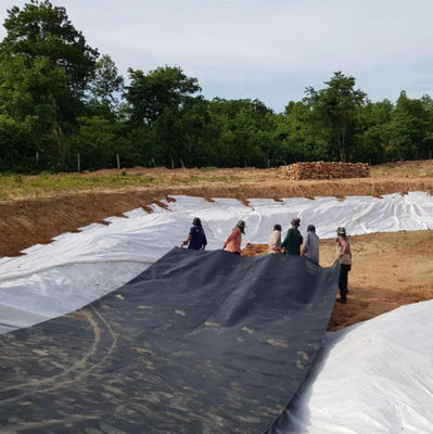 Dubbele textuur HDPE geomembraan 1 mm voor waterdichte Plastic Dam Liner Fish Pond Liner