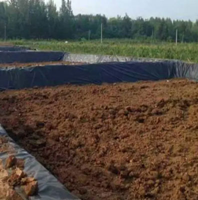 Dubbele textuur HDPE geomembraan 1 mm voor waterdichte Plastic Dam Liner Fish Pond Liner