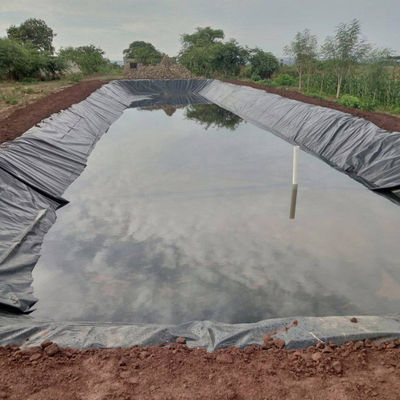 ASTM GRI-GM13 Standaard Geomembrane voor kunstmatige zeetankdam en stortplaats
