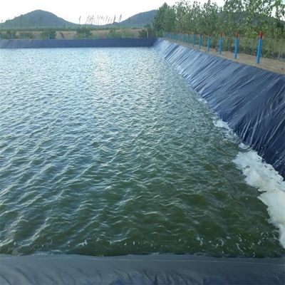 Vissen Garnalenhouderij HDPE Geomembraan 0,5 mm Polyethyleen Liner Zwarte Rollen Waterdicht