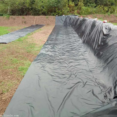 ASTM GRI-GM13 Geomembrane gefabriceerd HDPE vispoel Liner 1 mm voor kunstmatig meer