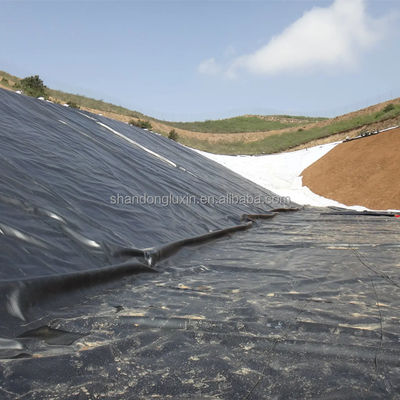 ASTM GRI-GM13 Geomembrane gefabriceerd HDPE vispoel Liner 1 mm voor kunstmatig meer