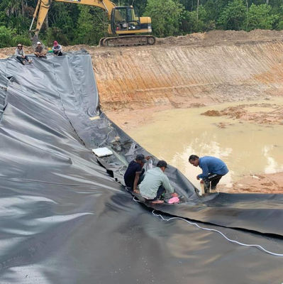 HDPE Geomembrane Waterdicht PE Zwart Plastic Pond Liner Sheet Roll