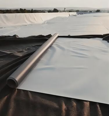 Geomembrane met een textuur van 2 mm voor een waterdicht HDPE-ontwerp