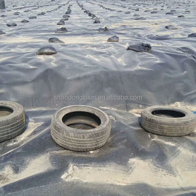 ASTM GRI-GM13 standaard HDPE gladde geomembraan vis vijver voering voor wateropslagtanks