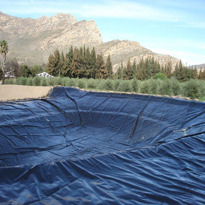 Geomembranen PVC LDPE HDPE Vissenpoel Liner Dam Liner Lengte 50-200m Dikte 0.3mm-2.8mm