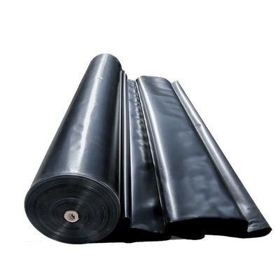 Modern ontwerp 2 mm HDPE dubbel glad geomembraan voor biogasverteringsapparaten dubbel glad