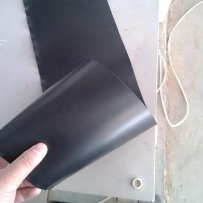 Modern ontwerp 2 mm HDPE dubbel glad geomembraan voor biogasverteringsapparaten dubbel glad