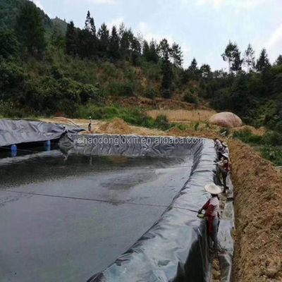 2 mm geomembraan HDPE glad vispoel voering voor anti-lekkage water in stortplaatsen