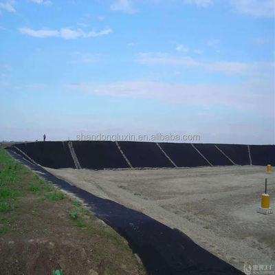 Waterdicht HDPE vispoel Liner 30mil 60 mils Zwart Geomembrane voor wateropslagtanks