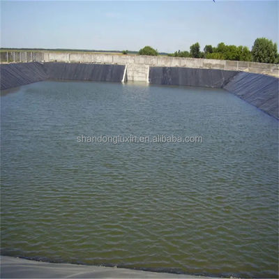 Waterdicht HDPE vispoel Liner 30mil 60 mils Zwart Geomembrane voor wateropslagtanks