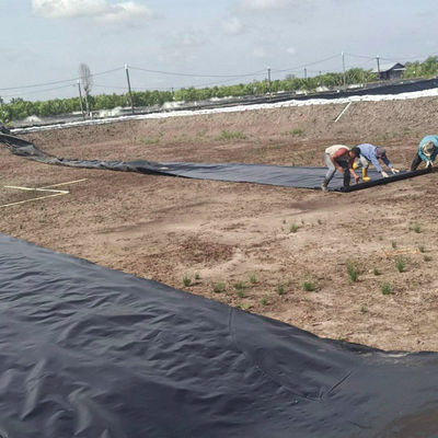 1m-8m breedte dubbel glad zwart HDPE vijver voor vissen garnalen zwembad kweek