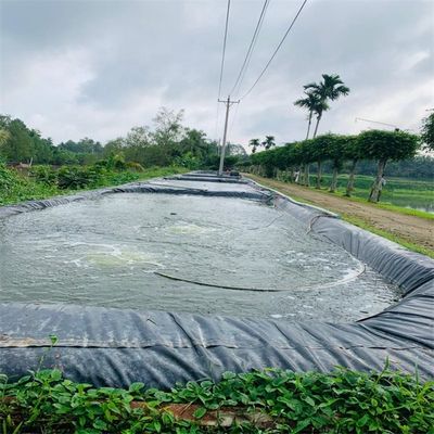 1.5mm glad zwart HDPE geomembraan voor buiten omgeving vis vijver Liner waterdicht