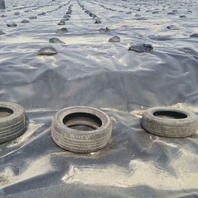1.5mm glad zwart HDPE geomembraan voor buiten omgeving vis vijver Liner waterdicht