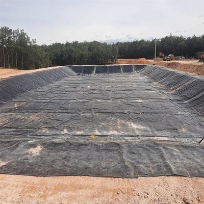 Buiten HDPE-plaat plastic membraan voor waterreservoir en vissentank in zwarte kleur
