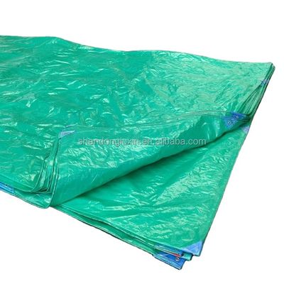 Standaardgrootte Geweven PE-traplein Plastic Stofplaat Voor Landbouw Industrieel Dekmantel