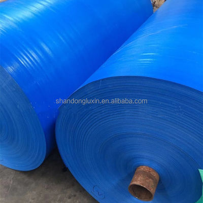 Waterdicht PE-doek zware dekmantel voor landbouw en industrie 80gm-200gm