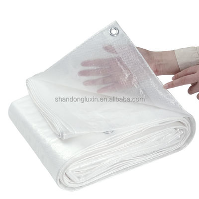 PE-gecoate weefsels van weefsels van weefsels van weefsels van weefsels van weefsels van weefsels van weefsels van weefsels van weefsels van weefsels van weefsels van weefsels van weefsels van weefsels van weefsels van weefsels van weefsels van weefsels van weefsels van weefsels van weefsels van weefsels van weefsels van weefsels van weefsels van weefsels van weefsels van weefsels van weefsels van weefsels van weefsels van weefsels van weefsels van weefsels van weefsels van weefsels van weefsels