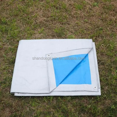 PE-gecoate weefsels van weefsels van weefsels van weefsels van weefsels van weefsels van weefsels van weefsels van weefsels van weefsels van weefsels van weefsels van weefsels van weefsels van weefsels van weefsels van weefsels van weefsels van weefsels van weefsels van weefsels van weefsels van weefsels van weefsels van weefsels van weefsels van weefsels van weefsels van weefsels van weefsels van weefsels van weefsels van weefsels van weefsels van weefsels van weefsels van weefsels van weefsels