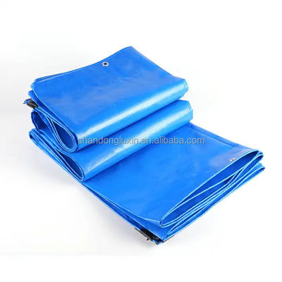 PE-gecoate weefsels van weefsels van weefsels van weefsels van weefsels van weefsels van weefsels van weefsels van weefsels van weefsels van weefsels van weefsels van weefsels van weefsels van weefsels van weefsels van weefsels van weefsels van weefsels van weefsels van weefsels van weefsels van weefsels van weefsels van weefsels van weefsels van weefsels van weefsels van weefsels van weefsels van weefsels van weefsels van weefsels van weefsels van weefsels van weefsels van weefsels van weefsels