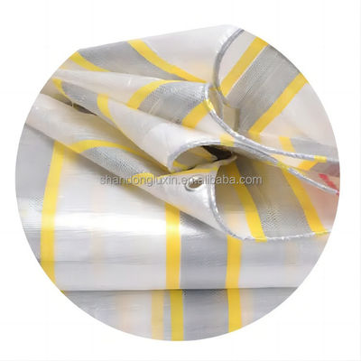 100% materiaal Dubbelblauw Wit Zwart Rood Plastic Gecoat PE Tarpaulin Plaat