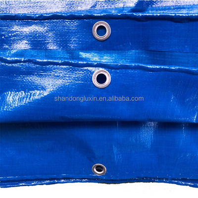 2024 PE Tarpaulin Strip HDPE Stof Waterdicht Blauw Poly Tarp voor Outdoor-Agriculture