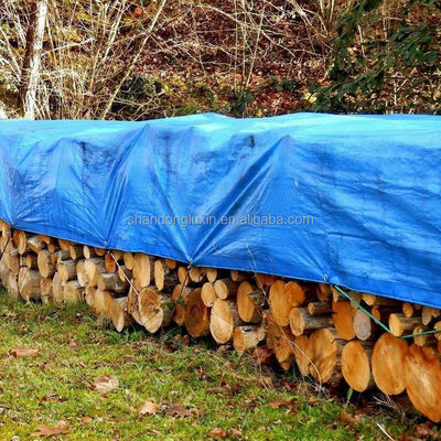 Blauw PE-doek voor buiten HDPE-weven en LDPE-lamineerd dak