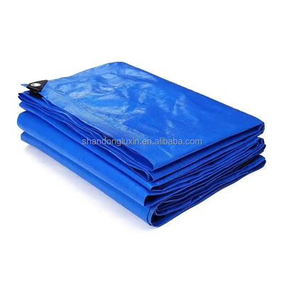 Truck Cargo Cover Waterdicht Tarpaulin Platen Rollen met aangepaste Gsm PE Coated