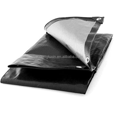 Truck Cargo Cover Waterdicht Tarpaulin Platen Rollen met aangepaste Gsm PE Coated